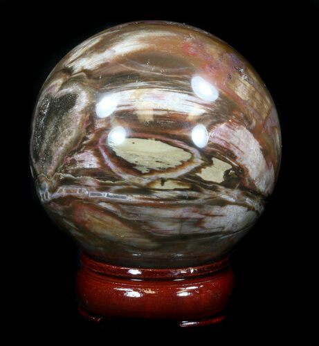 Colorful Petrified Wood Sphere #36972